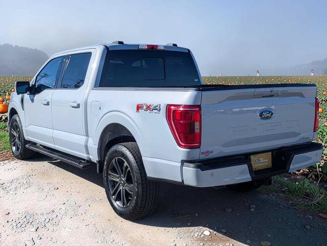 Certified 2021 Ford F150 XLT w/ Equipment Group 302A High AWD/4WD image 4