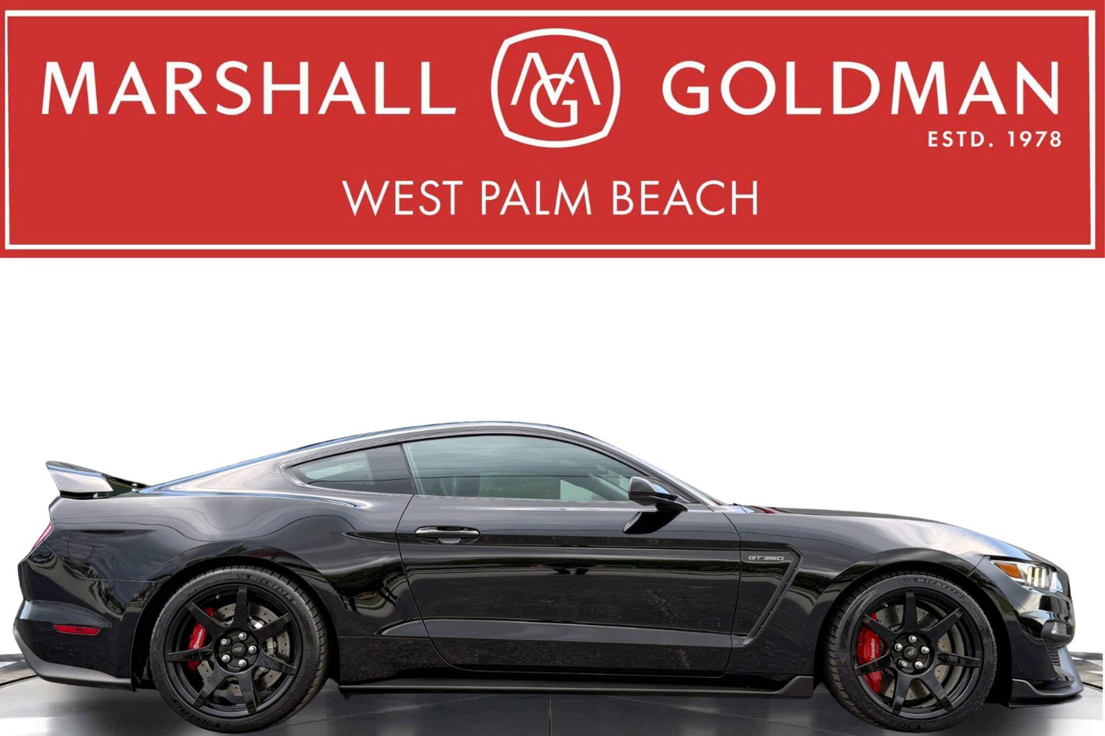Used 2017 Ford Mustang Shelby GT350R w/ GT350R Equipment Group 920A RWD image 2