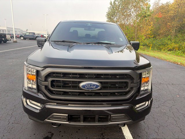 Used 2023 Ford F150 XLT w/ Equipment Group 302A High AWD/4WD image 7