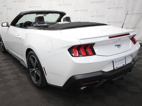 Used 2024 Ford Mustang Premium RWD image 14