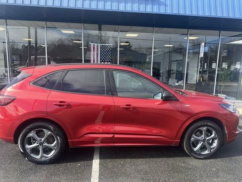 Used 2024 Ford Escape ST-Line image 1