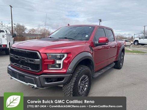 Used 2019 Ford F150 Raptor w/ Equipment Group 802A Luxury image 1