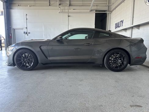 Used 2016 Ford Mustang Shelby GT350 w/ Technology Package image 8