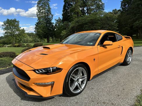 Used 2019 Ford Mustang Coupe w/ Ecoboost Performance Package RWD image 4