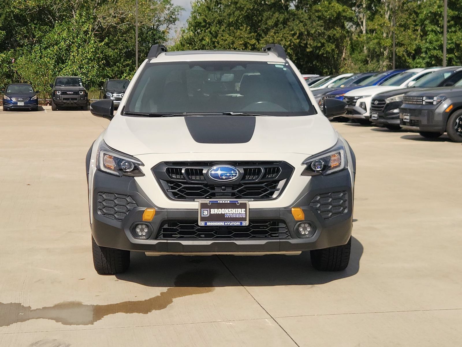 Used 2024 Subaru Outback Wilderness AWD/4WD image 2
