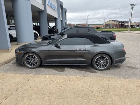 Used 2019 Ford Mustang Premium w/ Equipment Group 201A image 3