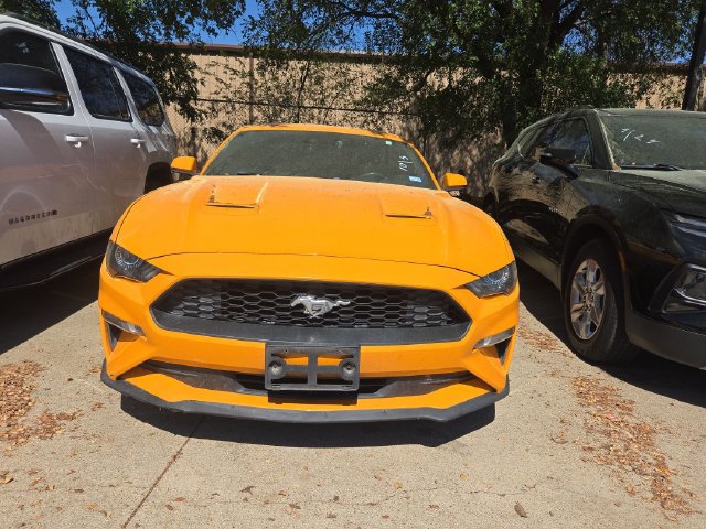 Used 2019 Ford Mustang Premium w/ Equipment Group 201A RWD image 2