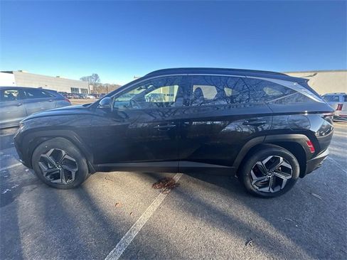 Certified 2022 Hyundai Tucson Limited w/ Cargo Package image 6