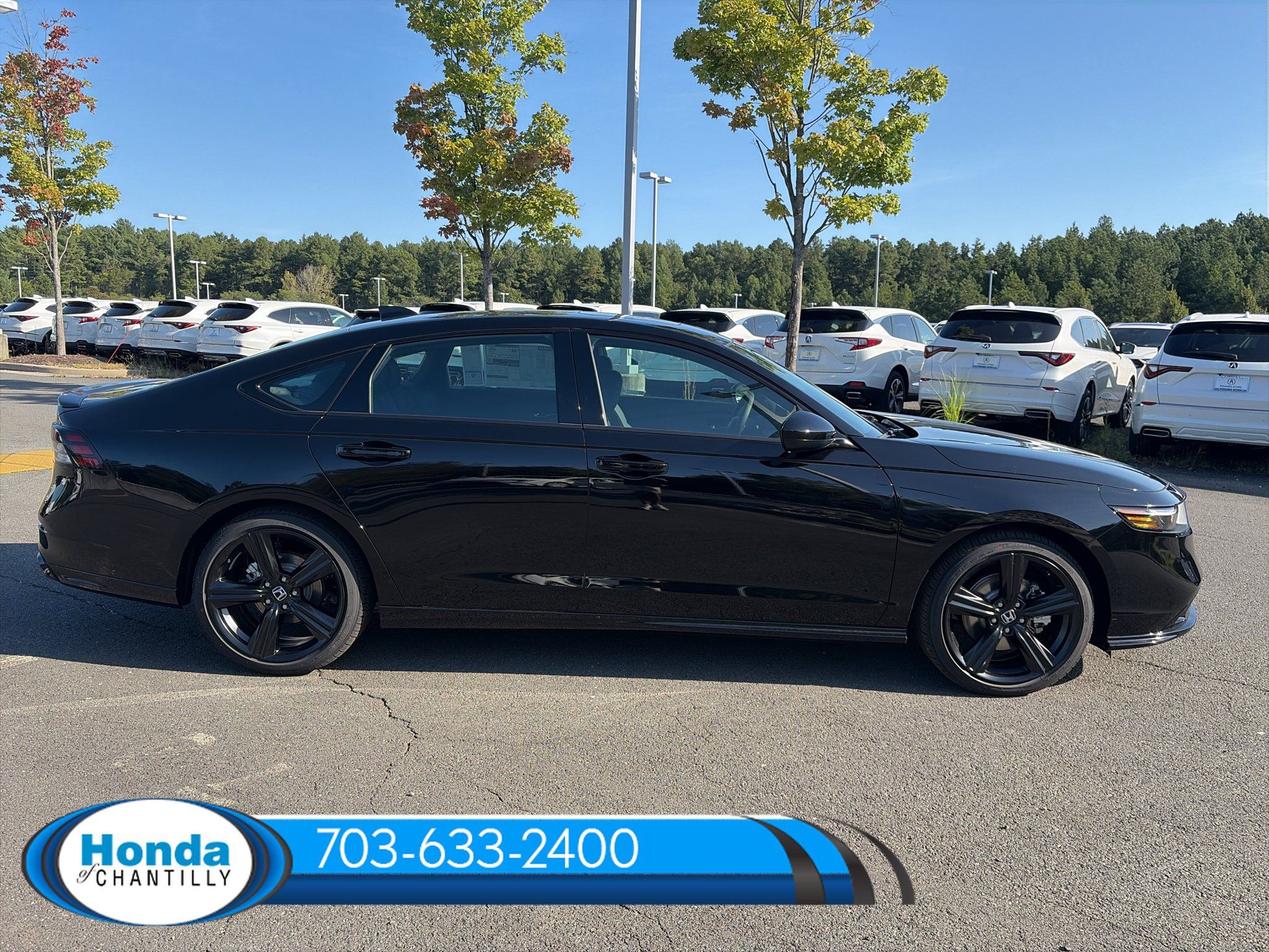 New 2026 Honda Accord Hybrid Sport-L FWD image 8