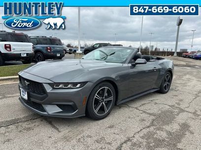 Used 2024 Ford Mustang Premium