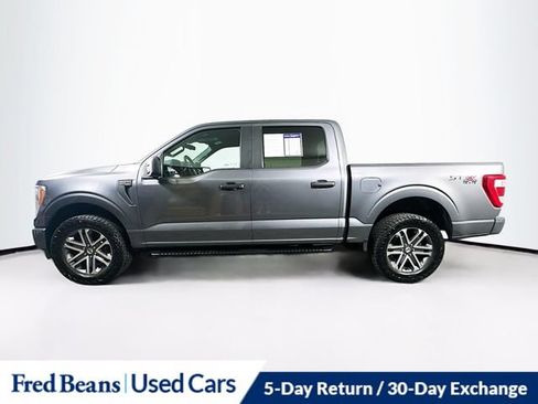 Used 2021 Ford F150 XL w/ STX Appearance Package AWD/4WD image 7