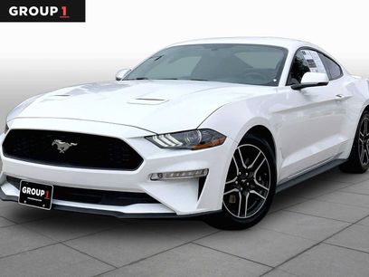Used 2019 Ford Mustang Premium