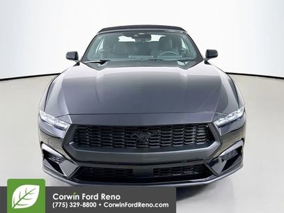 New 2025 Ford Mustang Convertible w/ Mustang Nite Pony Package
