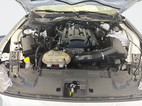 Used 2019 Ford Mustang Premium RWD image 25