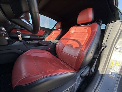 Used 2017 Ford Mustang GT Premium w/ Equipment Group 401A image 11