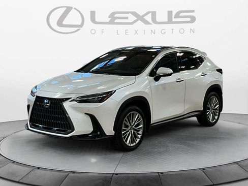 Certified 2024 Lexus NX 350h AWD w/ Vision Package image 1