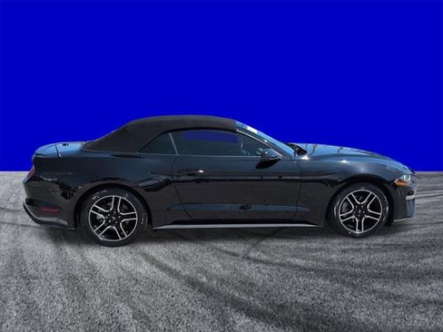 Certified 2019 Ford Mustang Premium RWD image 3