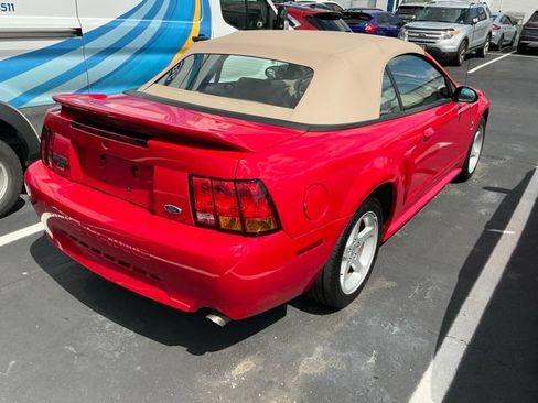 Used 1999 Ford Mustang Cobra RWD image 6