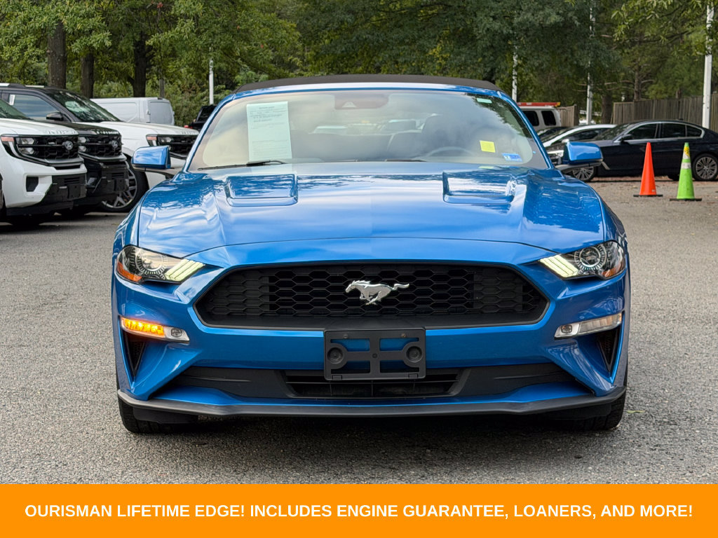 Used 2019 Ford Mustang Premium w/ Equipment Group 201A RWD image 2