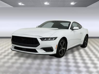 Used 2024 Ford Mustang Coupe