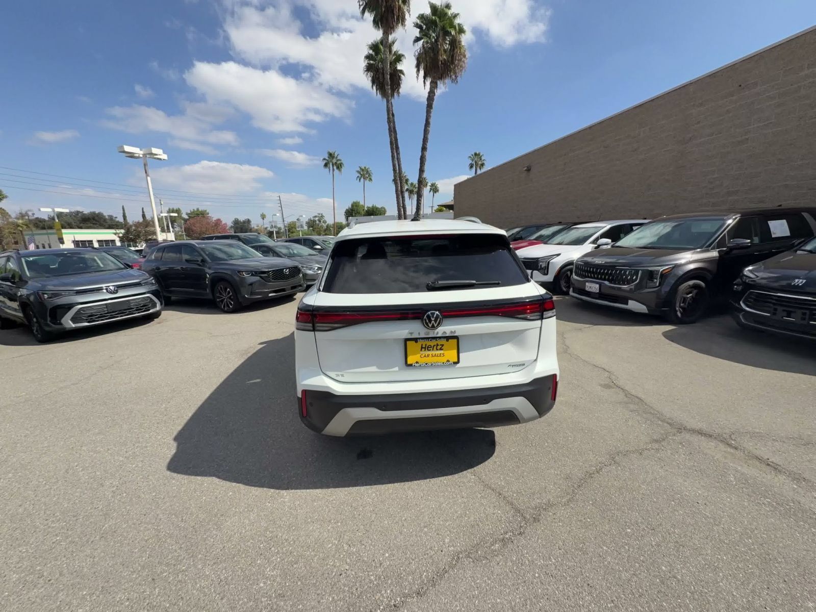 Used 2026 Volkswagen Tiguan SE AWD/4WD image 12