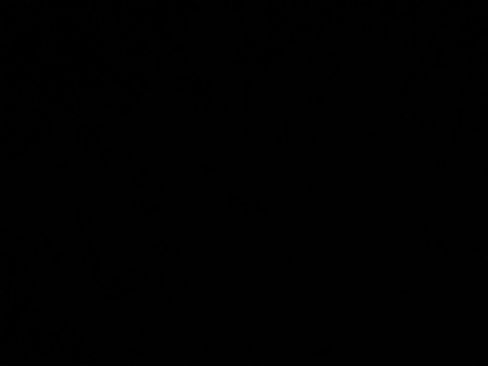 Used 2019 Honda Clarity Touring image 13