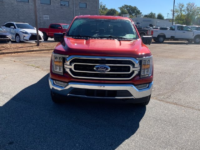 Used 2023 Ford F150 XLT w/ Equipment Group 302A High AWD/4WD image 2