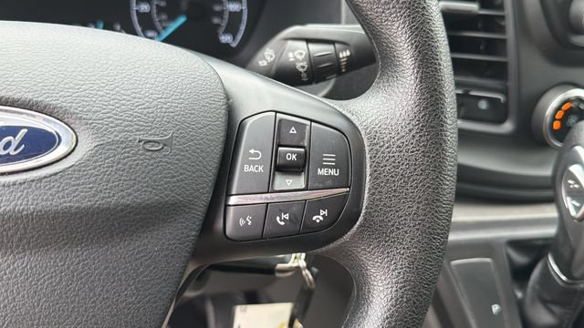 Used 2025 Ford Transit 250 Low Roof w/ Exterior Upgrade Package RWD image 23