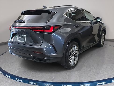 Certified 2025 Lexus NX 350 AWD w/ Luxury Package image 5