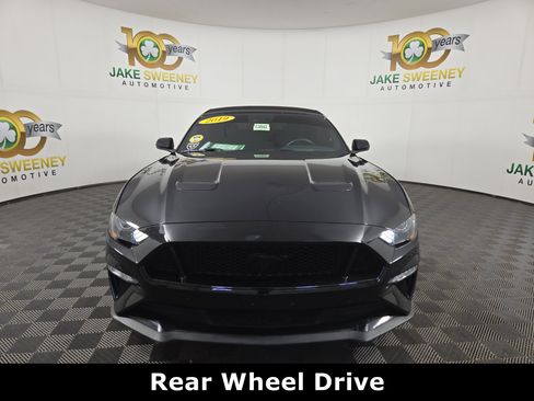 Used 2019 Ford Mustang GT Premium w/ Equipment Group 401A image 3
