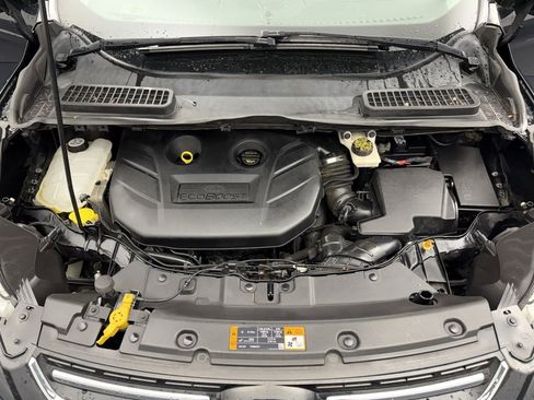 Used 2014 Ford Escape Titanium image 7