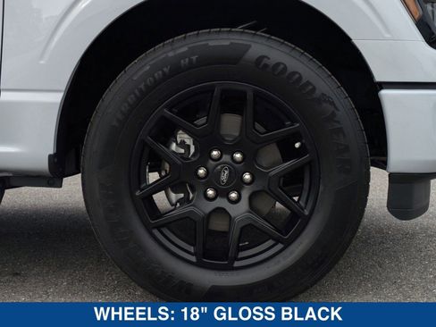 New 2025 Ford F150 STX w/ STX Black Appearance Package image 11