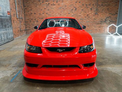 Used 2000 Ford Mustang Cobra RWD image 5
