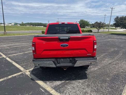 Used 2019 Ford F150 XLT w/ Equipment Group 302A Luxury AWD/4WD image 5