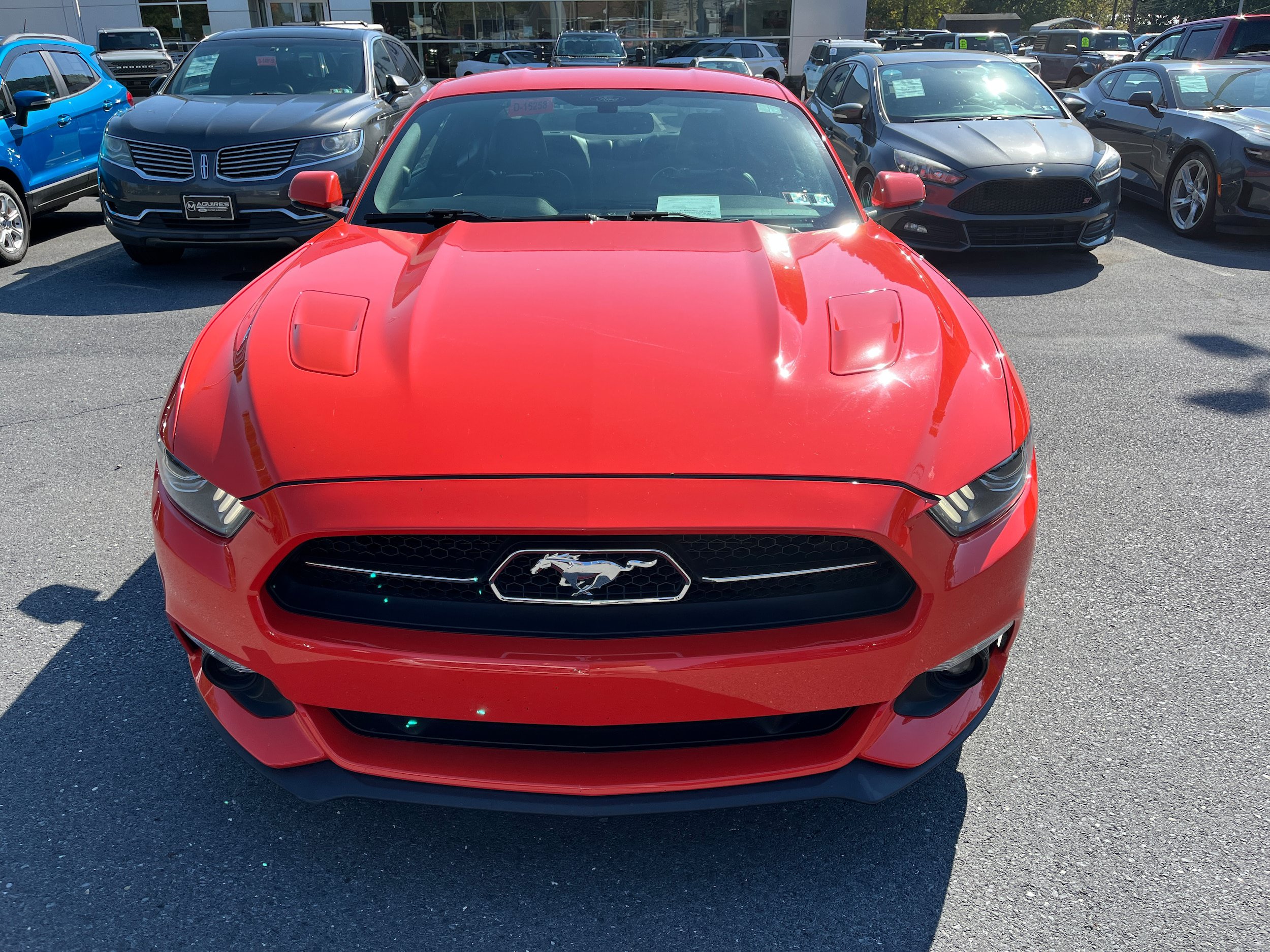 Used 2015 Ford Mustang GT Premium w/ Equipment Group 401A RWD image 3