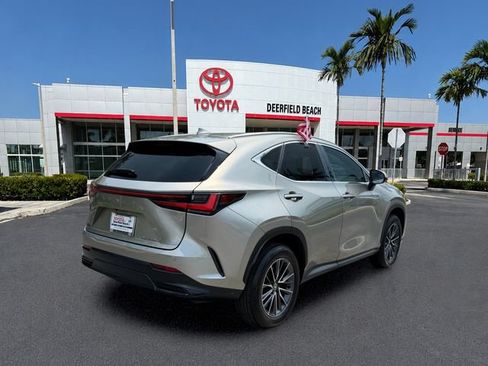 Used 2025 Lexus NX 250 FWD w/ Cold Area Package image 7