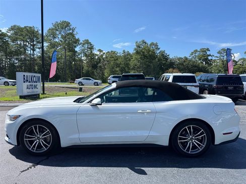 Used 2017 Ford Mustang Premium RWD image 8