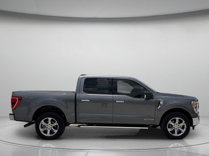 Used 2023 Ford F150 XLT w/ Equipment Group 302A High