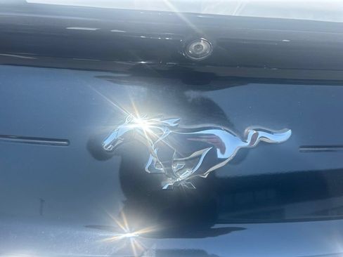 Used 2022 Ford Mustang Coupe w/ Equipment Group 101A RWD image 6