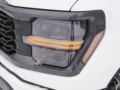 New 2025 Ford F150 STX w/ Equipment Group 200A image 16