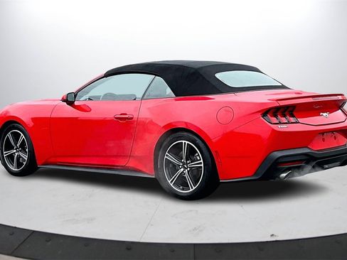 Used 2024 Ford Mustang Premium image 6