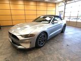 Certified 2023 Ford Mustang Premium image 3