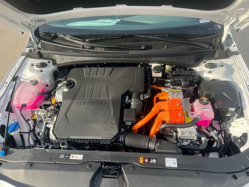 New 2026 Hyundai Elantra Blue w/ Cargo Package image 33