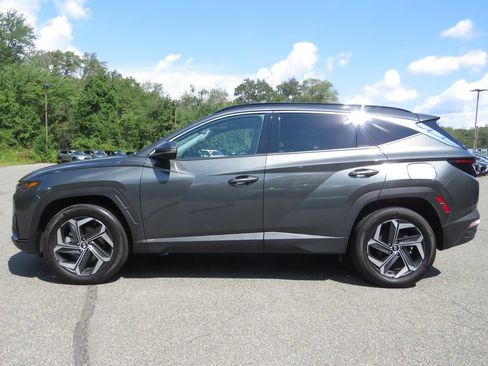 Used 2024 Hyundai Tucson Limited AWD/4WD image 8