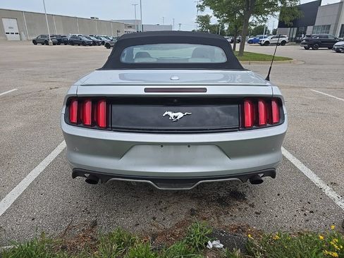 Used 2017 Ford Mustang Premium RWD image 6