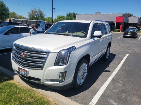 Used 2020 Cadillac Escalade Platinum AWD/4WD image 1