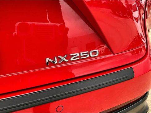 Certified 2024 Lexus NX 250 Premium image 10
