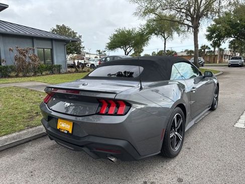 Used 2024 Ford Mustang Premium image 7