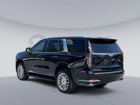 Used 2024 Cadillac Escalade Premium Luxury AWD/4WD image 5