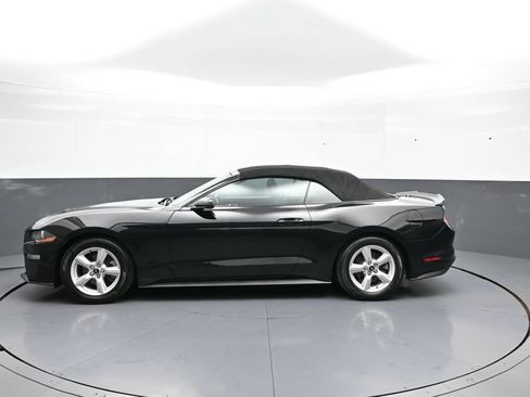 Used 2019 Ford Mustang Convertible RWD image 9